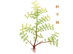 医院年会优秀员工发言稿简短
