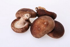 租房合同word格式