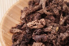 建设工程承包合同有哪些